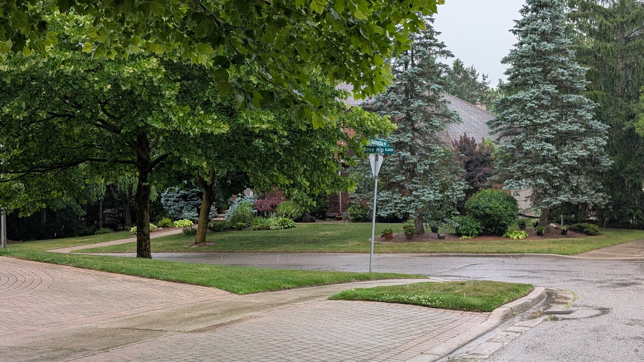 Westmount London Ontario Neighbourhood