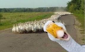 get your ducks in a row concerning real estate in London Ontario